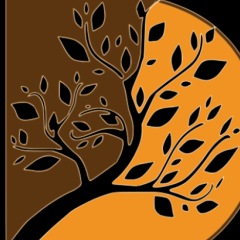 Delhi Mind Clinic Best Psyhiatrist In Delhi