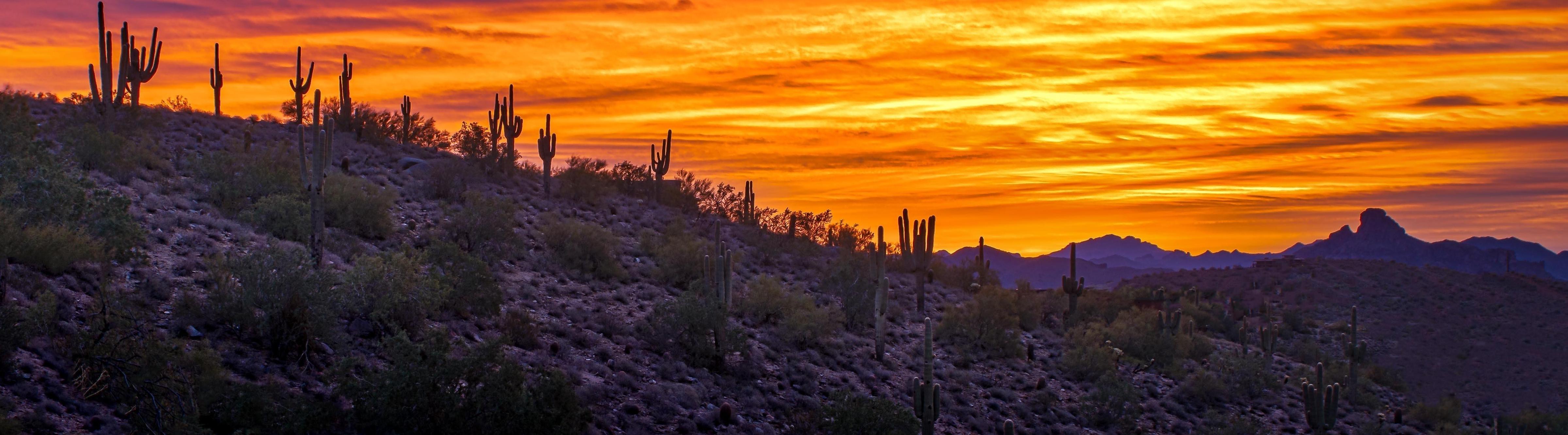 Pima Behavioral Health