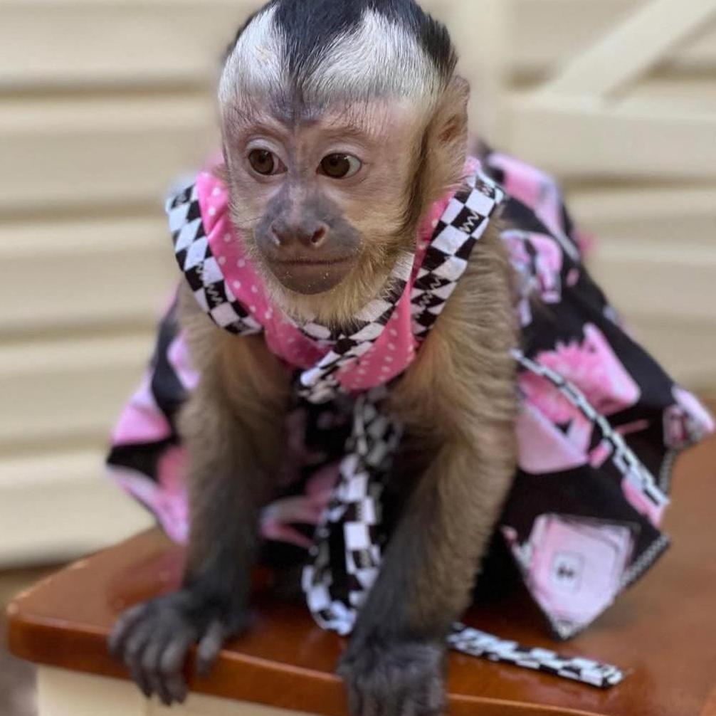 Euro Pets2025